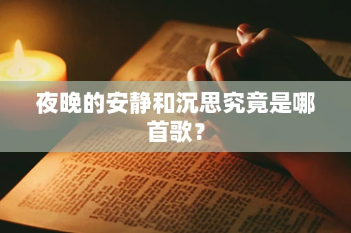 夜晚的安静和沉思究竟是哪首歌？