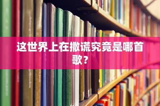这世界上在撒谎究竟是哪首歌？