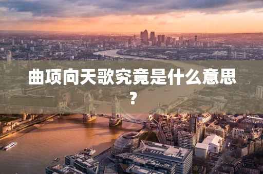 曲项向天歌究竟是什么意思？