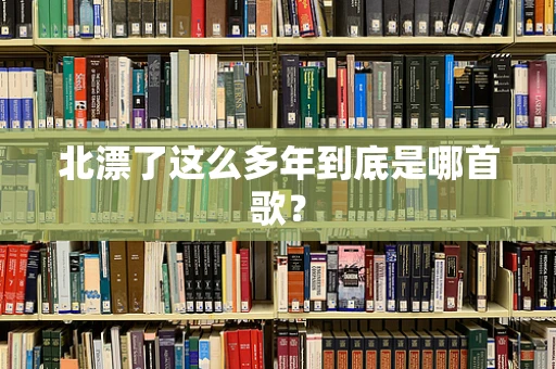北漂了这么多年到底是哪首歌？