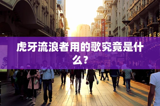 虎牙流浪者用的歌究竟是什么？