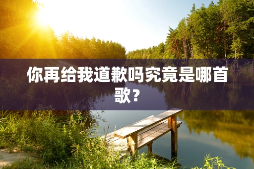 你再给我道歉吗究竟是哪首歌？