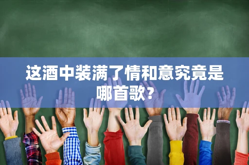 这酒中装满了情和意究竟是哪首歌？