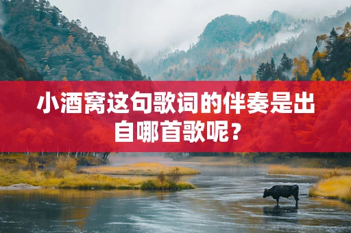 小酒窝这句歌词的伴奏是出自哪首歌呢？