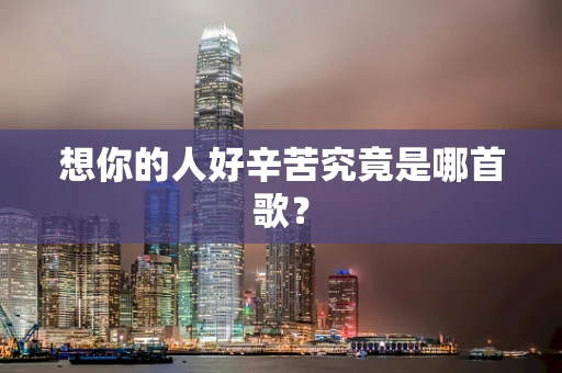 想你的人好辛苦究竟是哪首歌？