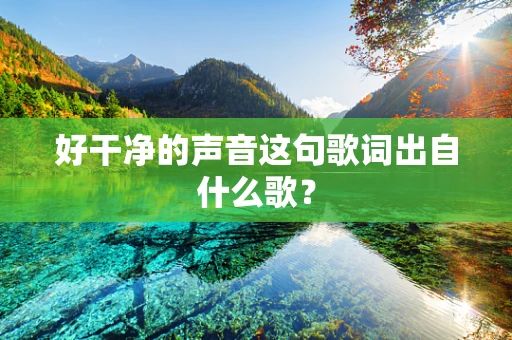 好干净的声音这句歌词出自什么歌？