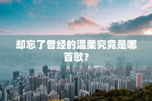 却忘了曾经的温柔究竟是哪首歌？