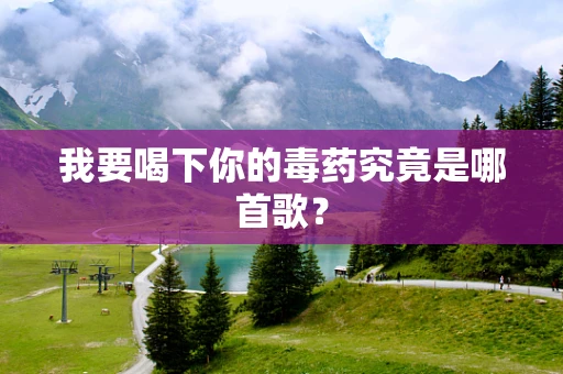 我要喝下你的毒药究竟是哪首歌？