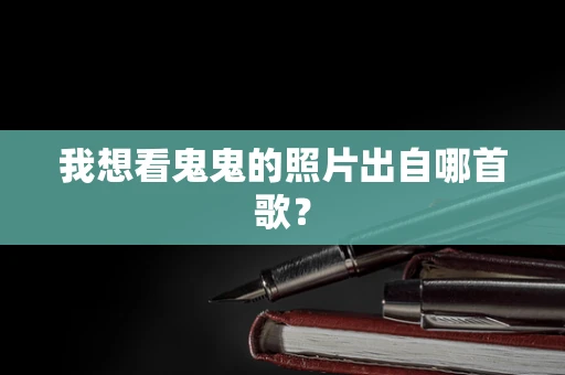 我想看鬼鬼的照片出自哪首歌？