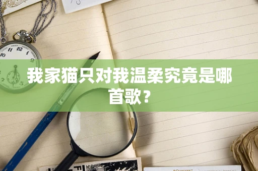 我家猫只对我温柔究竟是哪首歌？