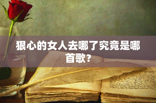 狠心的女人去哪了究竟是哪首歌？