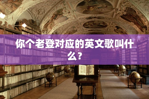 你个老登对应的英文歌叫什么？