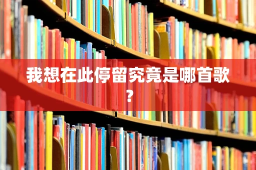 我想在此停留究竟是哪首歌？