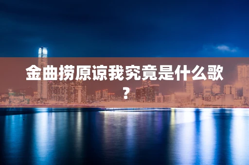 金曲捞原谅我究竟是什么歌？