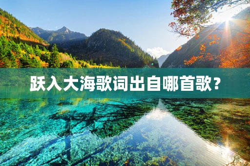跃入大海歌词出自哪首歌？