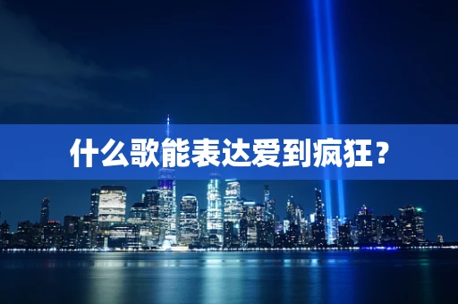 什么歌能表达爱到疯狂？