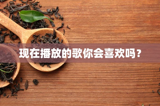 现在播放的歌你会喜欢吗？
