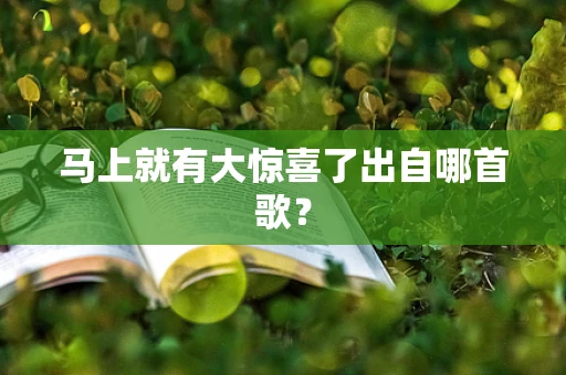 马上就有大惊喜了出自哪首歌？