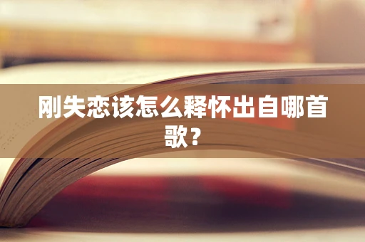 刚失恋该怎么释怀出自哪首歌？