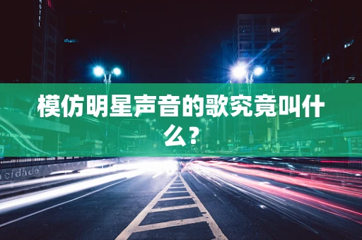 模仿明星声音的歌究竟叫什么？