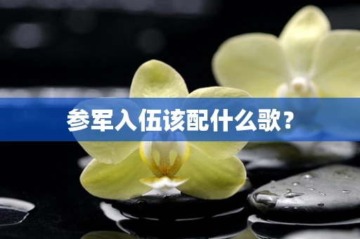 参军入伍该配什么歌？
