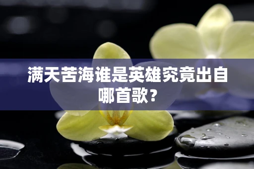 满天苦海谁是英雄究竟出自哪首歌？