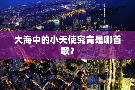 大海中的小天使究竟是哪首歌？