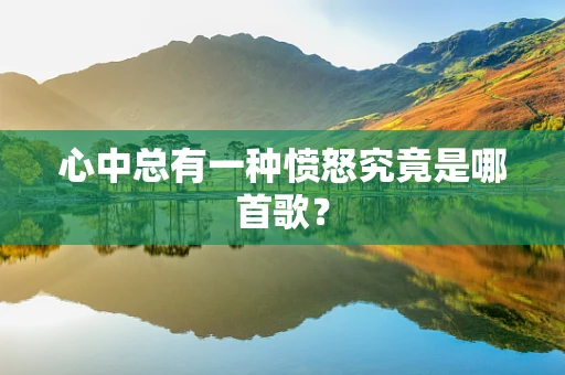 心中总有一种愤怒究竟是哪首歌？