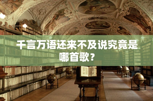千言万语还来不及说究竟是哪首歌？