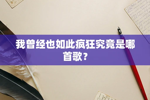 我曾经也如此疯狂究竟是哪首歌？