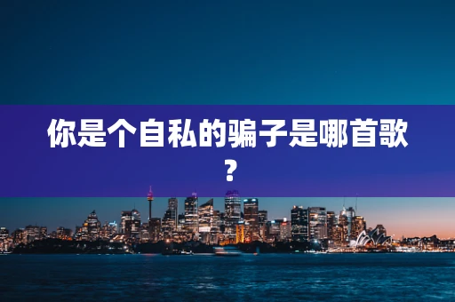 你是个自私的骗子是哪首歌？