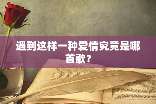 遇到这样一种爱情究竟是哪首歌？