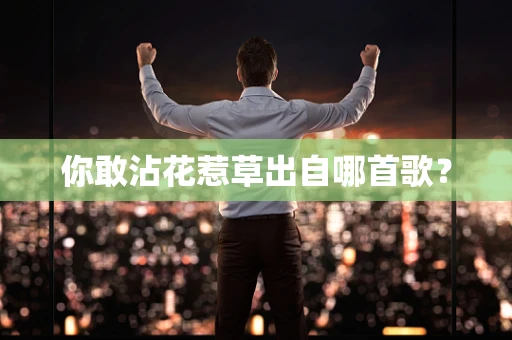 你敢沾花惹草出自哪首歌？