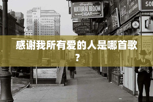 感谢我所有爱的人是哪首歌？