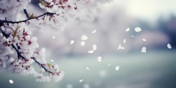 也为我坚定的信心究竟是哪首歌？