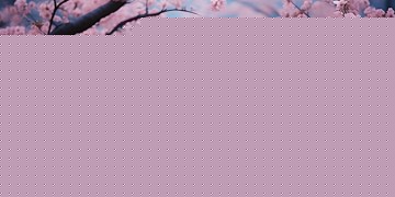 哪首歌唱出了对自己青春的叹息？