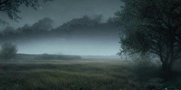 哪些歌曲表达了没良心之意？