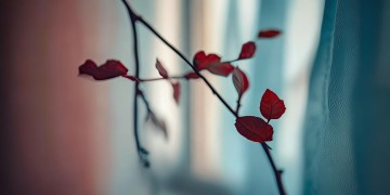 搂你入怀很温柔究竟是哪首歌？