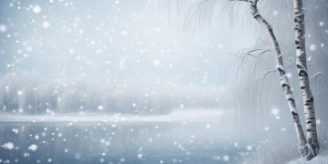 这个冬天受过的伤究竟是哪首歌？