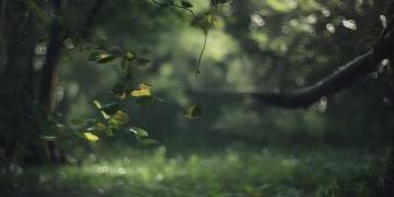 多少人木有过迷茫究竟是哪首歌？