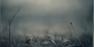 我活着真悲哀到底是哪首歌？