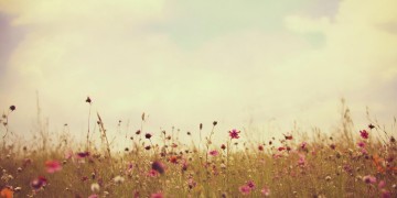 风吹过我的肩出自哪首歌？