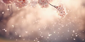 你太美我不敢心动究竟是哪首歌？