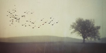 那首让你伤心的人之歌究竟叫啥？