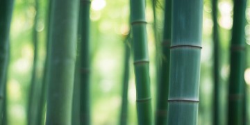 朋友瘦成竹竿究竟是哪首歌？