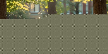 大学时代校友写的歌究竟叫什么？