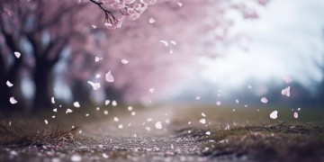 可我还是向你走去了出自哪首歌？