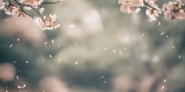 想别离要趁早出自哪首歌？