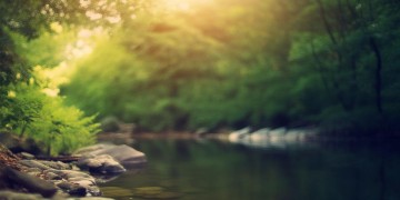 谁都想再回到从前究竟是哪首歌？