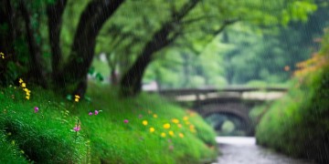 春雨唱着歌能给人们带来什么？